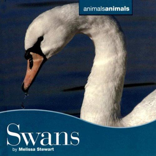 Swans (Animals Animals)