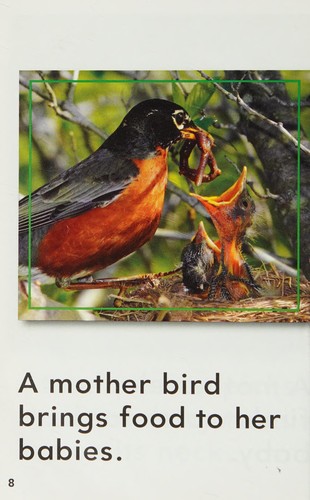 Animal Mothers and Babies by Dona Herweck Rice cover