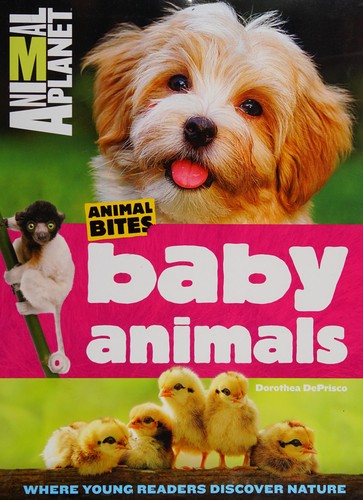 Animal Planet Baby Animals