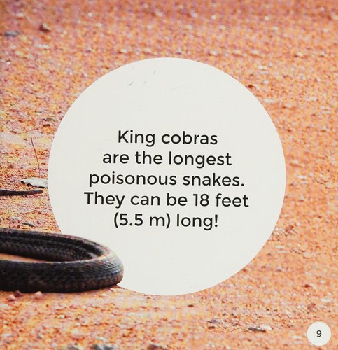 Cobras (Desert Animals) by Leo Statts cover