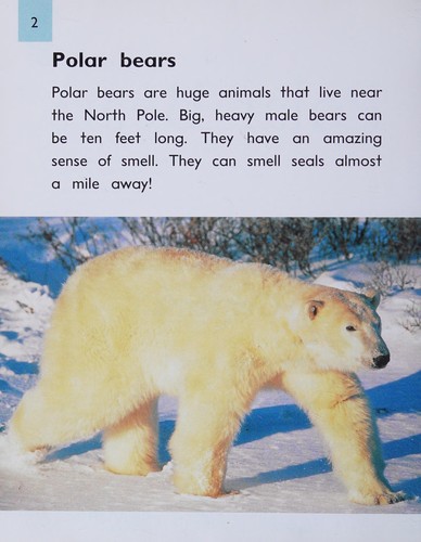 Polar bears (PM animal facts : polar animals)