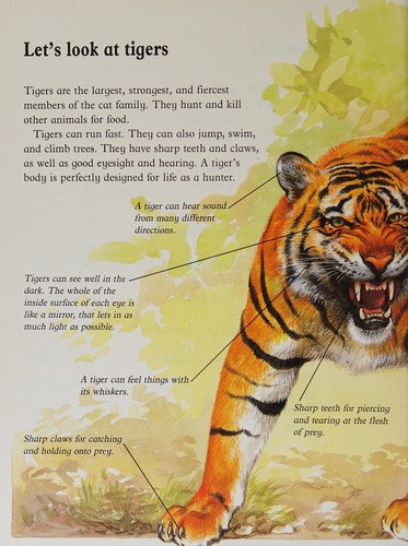 Tigers (Animal world) by Jenny Wood cover