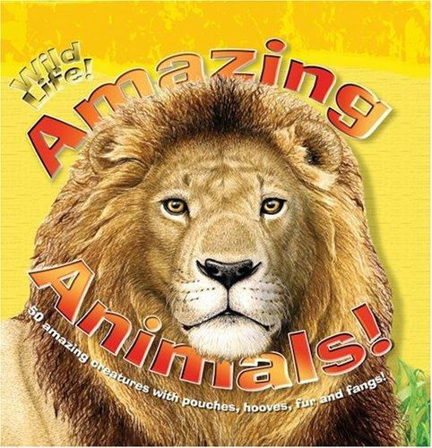 Amazing Animals (Wildlife!) by Valerie Davies cover
