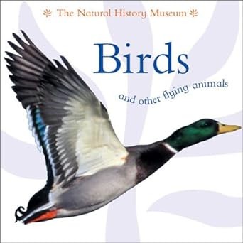 Birds and other flying animals by Barbara Taylor cover