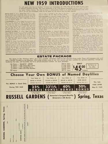 America's first name in daylilies