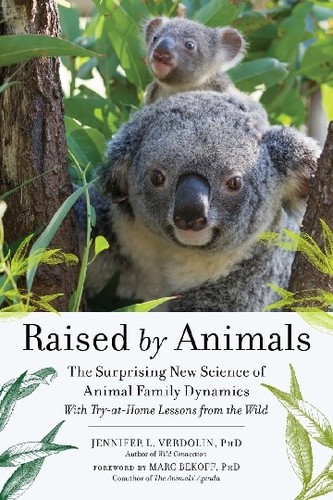 Raised by animals by Jennifer L. Verdolin cover