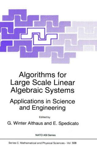 Algorithms for large scale linear algebraic systems