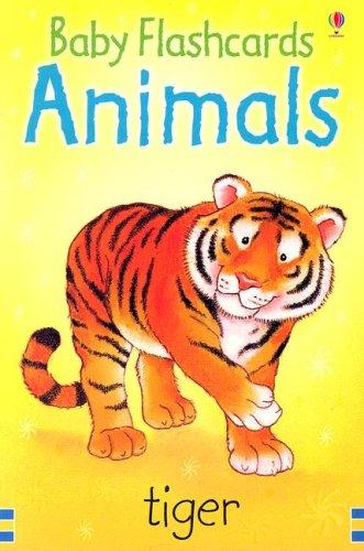 Animals Baby Flashcards by Catherine-Anne MacKinnon cover
