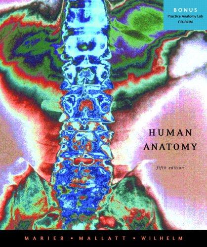 Human Anatomy