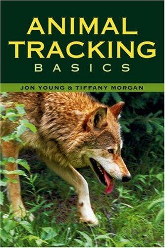 Animal tracking basics by Jon Young, Tiffany Morgan cover