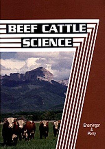 Beef cattle husbandry