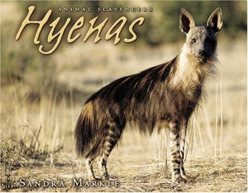 Hyenas (Animal Scavengers) by Sandra Markle cover
