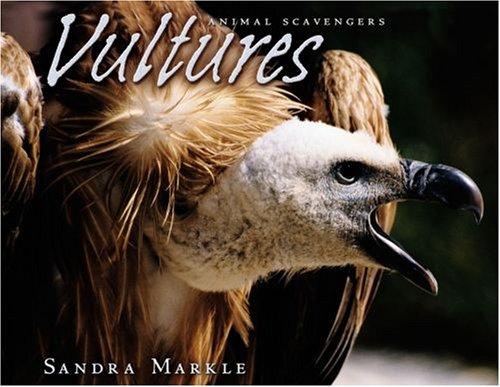 Vultures (Animal Scavengers) by Sandra Markle cover
