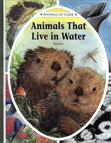 Animals That Live in Water (Animals Up Close)