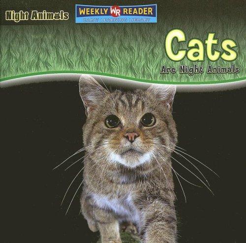 Cats Are Night Animals