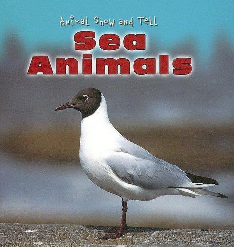 Sea Animals (Animal Show and Tell)