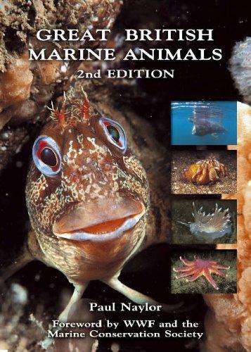 GREAT BRITISH MARINE ANIMALS by PAUL NAYLOR, Paul Naylor cover