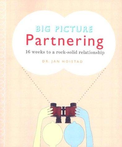 Big picture partnering