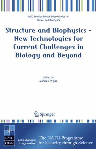 Structure and Biophysics - New Technologies for Current Challenges in Biology and Beyond (NATO Science for Peace and Security Series / NATO Science for ... Security Series B: Physics and Biophysics)