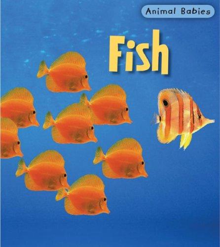 Fish (Animal Babies)