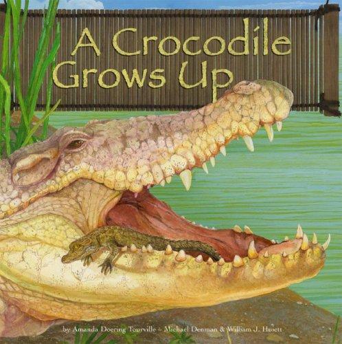 A Crocodile Grows Up (Wild Animals) (Wild Animals) by Amanda Doering Tourville cover