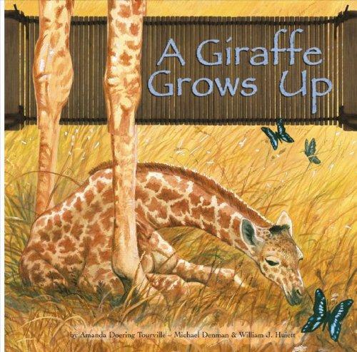 A Giraffe Grows Up (Wild Animals) (Wild Animals) by Amanda Doering Tourville cover