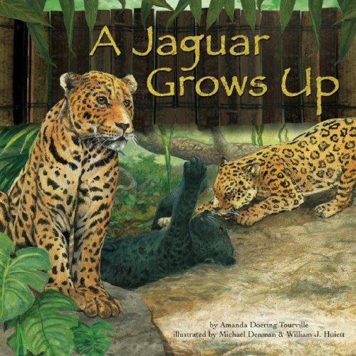 A Jaguar Grows Up (Wild Animals) (Wild Animals) by Amanda Doering Tourville cover