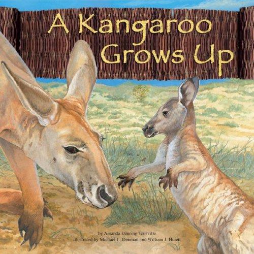 A Kangaroo Grows Up (Wild Animals) (Wild Animals) by Amanda Doering Tourville cover