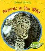 Animals In The Wild (Animal Worlds) by Sue Barraclough cover
