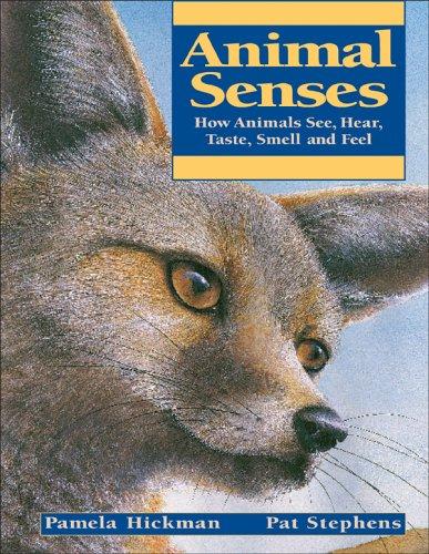 Animal Senses by Pamela Hickman cover