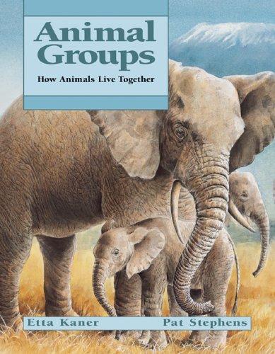 Animal Groups by Etta Kaner cover