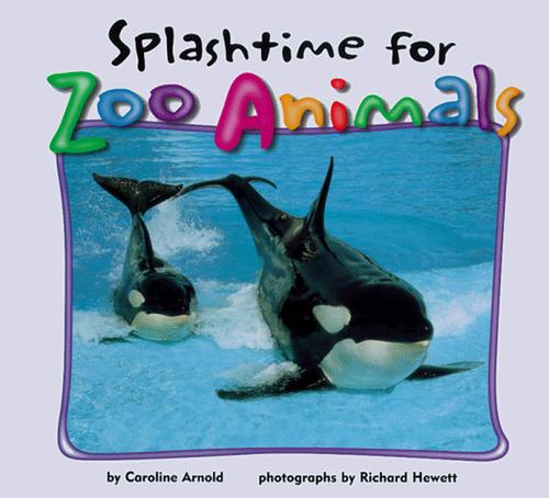 Splashtime for zoo animals