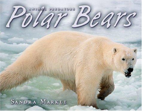 Polar Bears (Animal Predators) by Sandra Markle cover