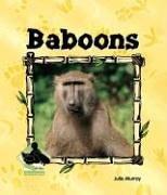 Baboons (Animal Kingdom)