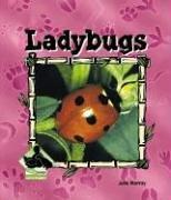 Ladybugs (Animal Kingdom)