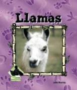 Llamas (Animal Kingdom)