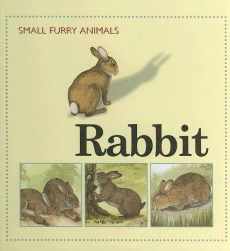 Rabbit (Small Furry Animals) by Ting Morris cover