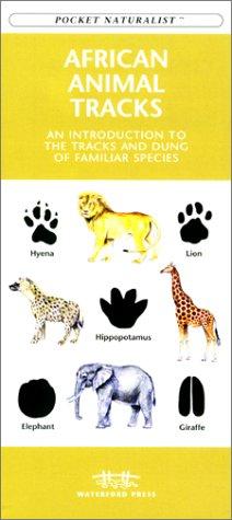 African Animal Tracks