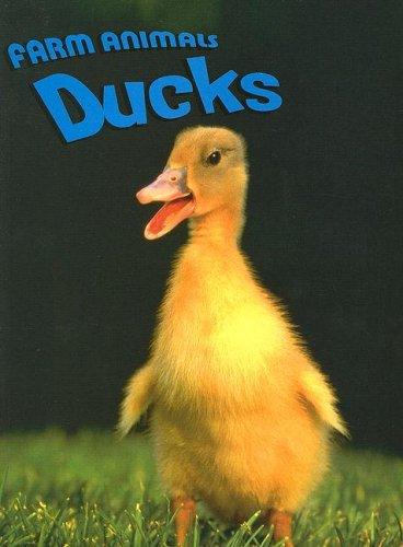 Ducks (Farm Animals)