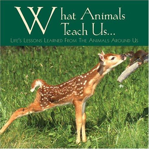 What animals teach us