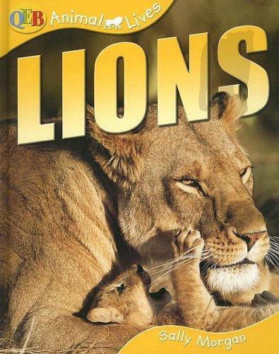 Lions (Animal Lives)