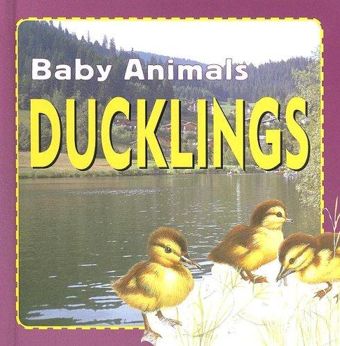 Ducklings by Kate Petty cover