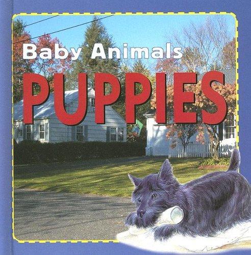 Puppies by Kate Petty cover