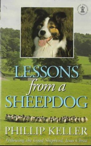 Lessons from a sheep dog