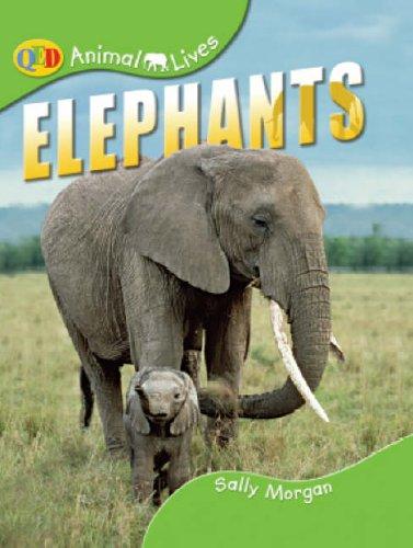 Elephants (Animal Lives) by Sally Morgan cover