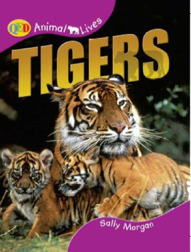 Tigers (Animal Lives) by Sally Morgan cover