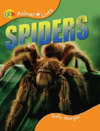 Spiders (Animal Lives) by Sally Morgan cover