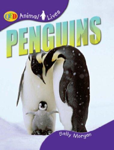 Penguins (Animal Lives) by Sally Morgan cover