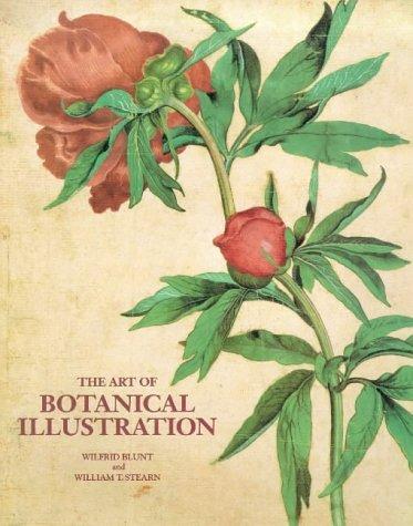 The art of botanical illustration
