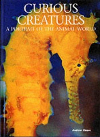 Curious creatures